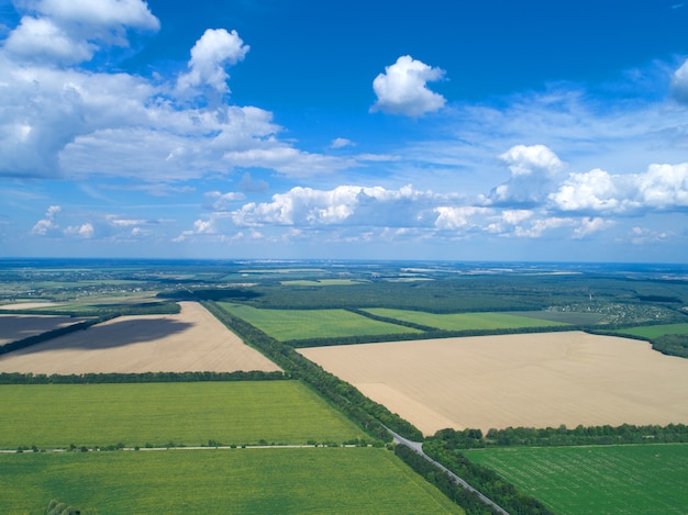 Campo verde e cielo blu