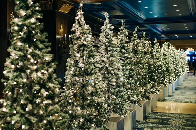 Canada, monreal - dic, 2020 lampadine Garland. Serata di Natale. classici appartamenti di lusso con alberi di natale decorati