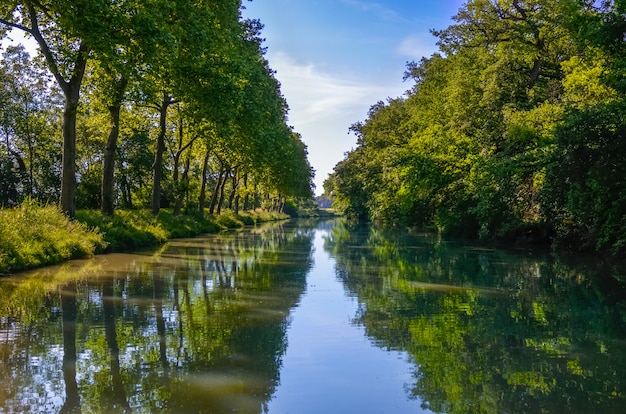 Canal du Midi, sicomoro riflessione in acqua, Francia meridionale