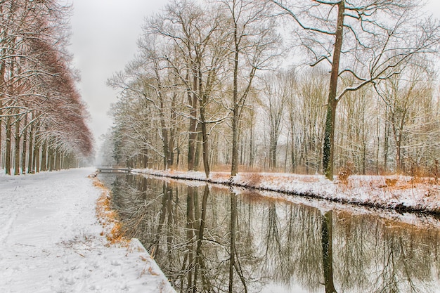 canale d&#39;acqua attraverso la foresta innevata