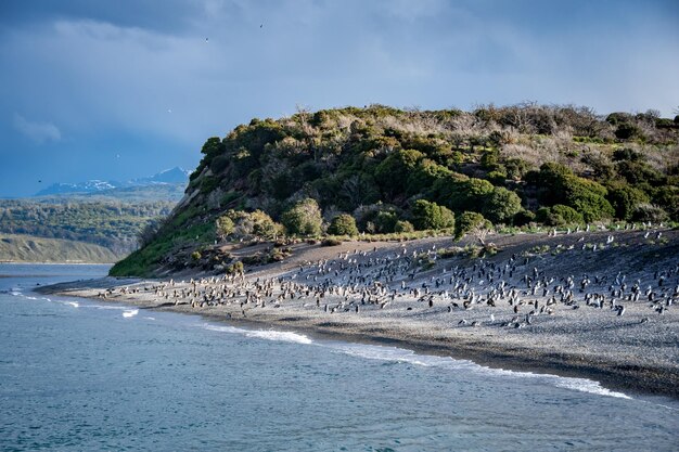 Canale di Beagle Ushuaia Patagonia Argentina