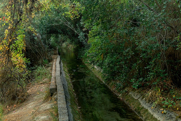 Canale di irrigazione in cemento tra la vegetazione in una zona montuosa