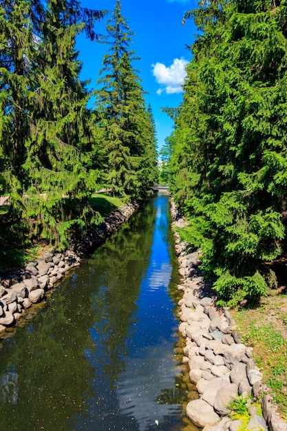 Canale di pesce nel Parco di Caterina a Carskoe Selo Pushkin Russia