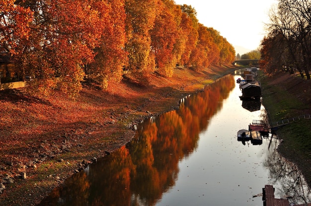 Canale in mezzo agli alberi contro il cielo durante l'autunno