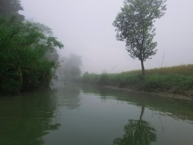 Canali e fotografia naturalistica invernale