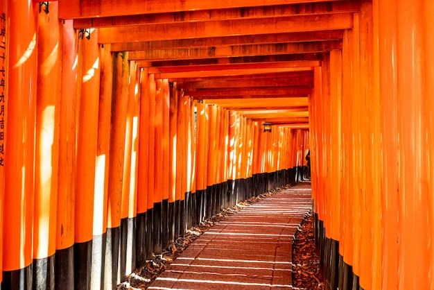 Cancelli rossi di Torii nel santuario di Fushimi Inari a Kyoto, Giappone