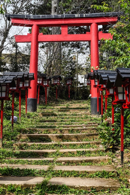 Cancello giapponese tradizionale Torii a Da Lat Vietnam