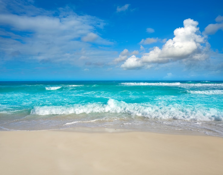 Foto cancun delfines beach in hotel zone mexico