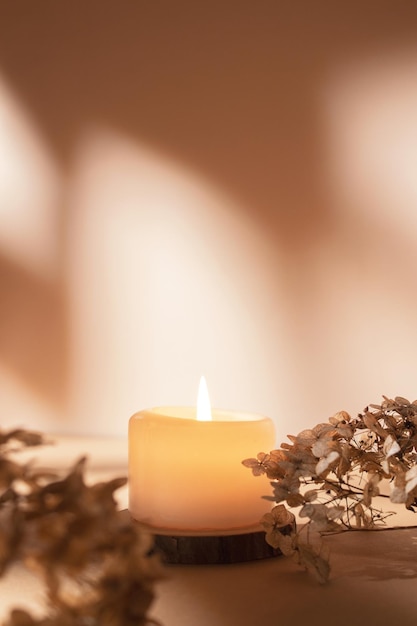 Candela accesa su sfondo beige Composizione estetica calda con fiori secchi