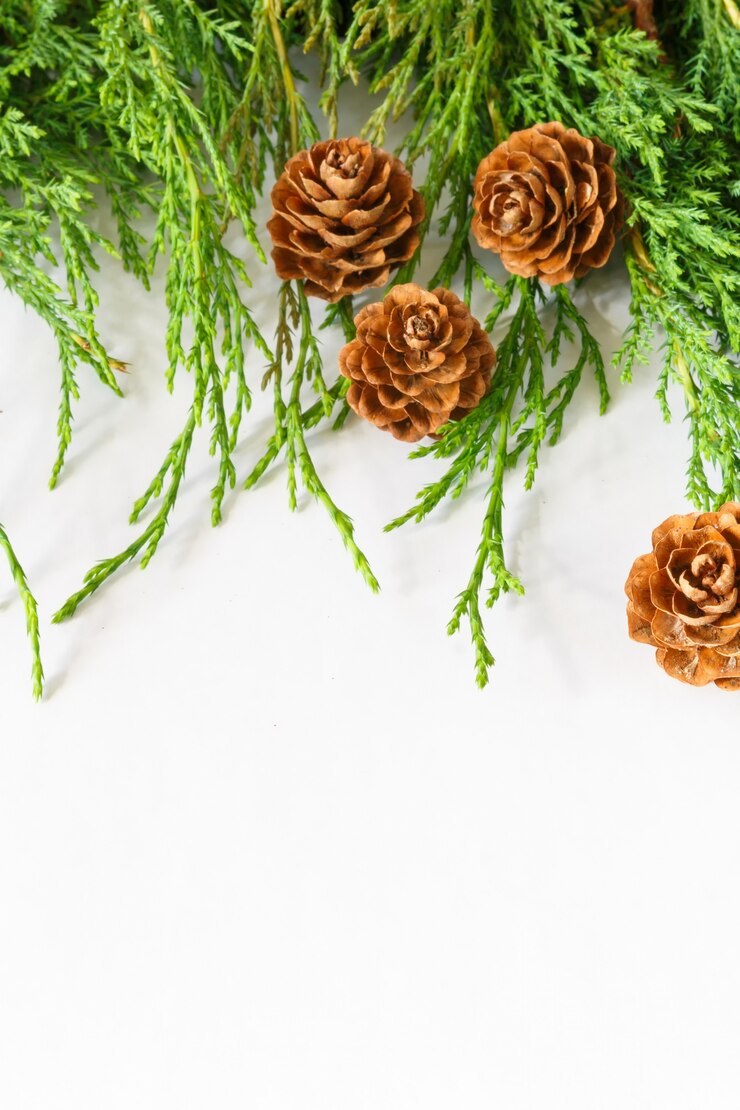 Foto candele della composizione di natale, decorazione festiva della palla per il nuovo anno di festa