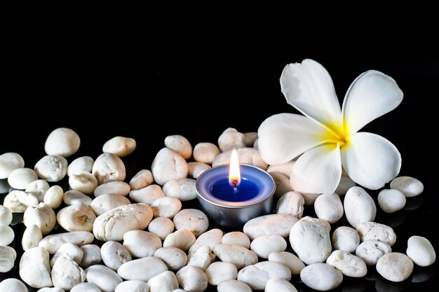 Candele profumate ai fiori di Plumeria