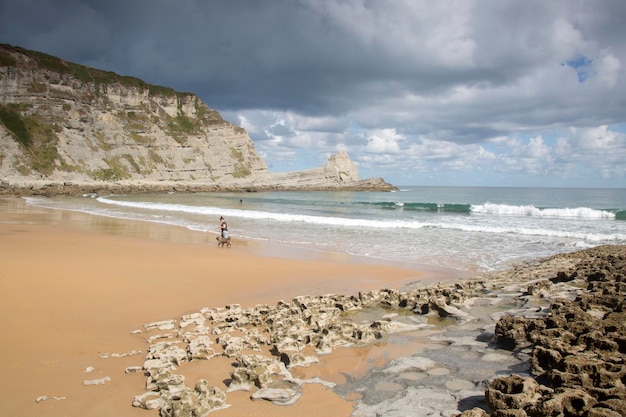 Cane a piedi sulla spiaggia di Langre, Santander, Spagna