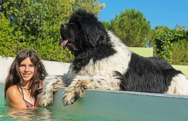 cane adolescente e terranova in piscina