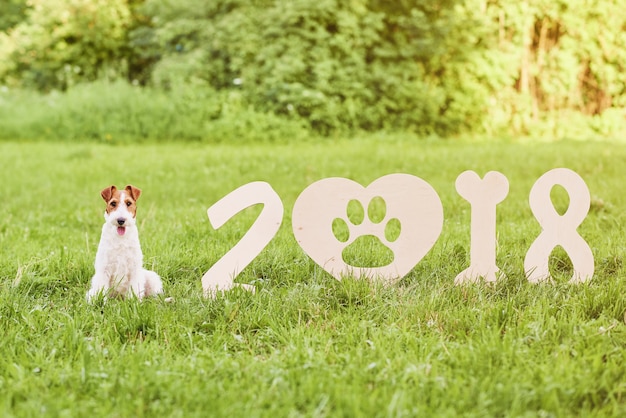 Cane adorabile felice della fox terrier al saluto del nuovo anno 2018 del parco