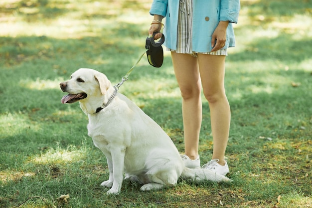 Cane al guinzaglio nel parco