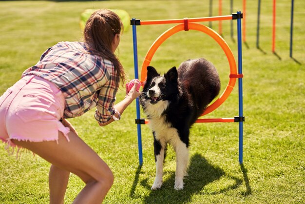 cane border collie e una donna su un campo di agilità
