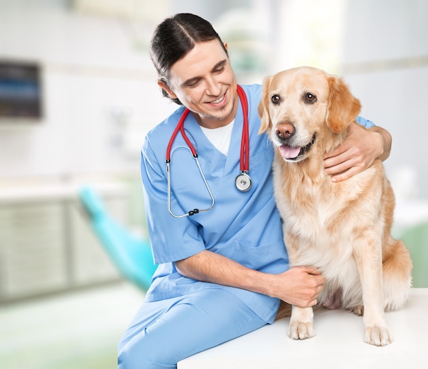 Cane carino dal veterinario con un dottore felice