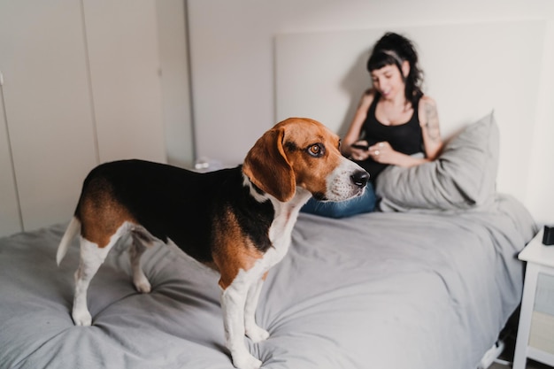 Cane che guarda via mentre la donna usa il telefono a letto a casa
