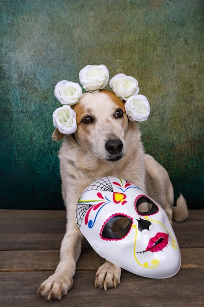 Cane con corona di fiori e calaca per il giorno dei morti