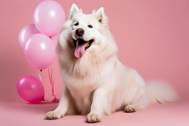 cane con un cappello da compleanno su sfondo rosa nello spazio dello studio per il testo Immagine generata da AI