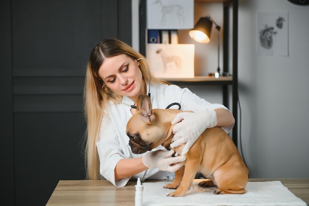 Cane d'ascolto veterinario con stetoscopio in clinica veterinaria