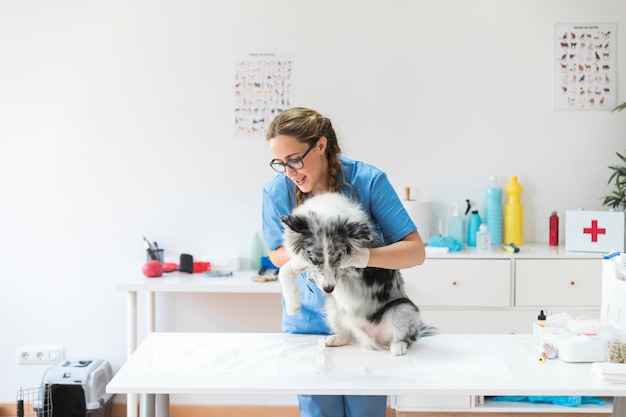 Cane d&#39;esame veterinario femminile felice sulla tavola in clinica