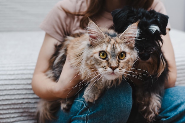 cane e gatto nelle mani del loro proprietario