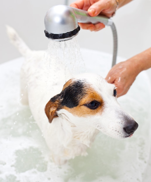 Cane facendo il bagno in una vasca da bagno