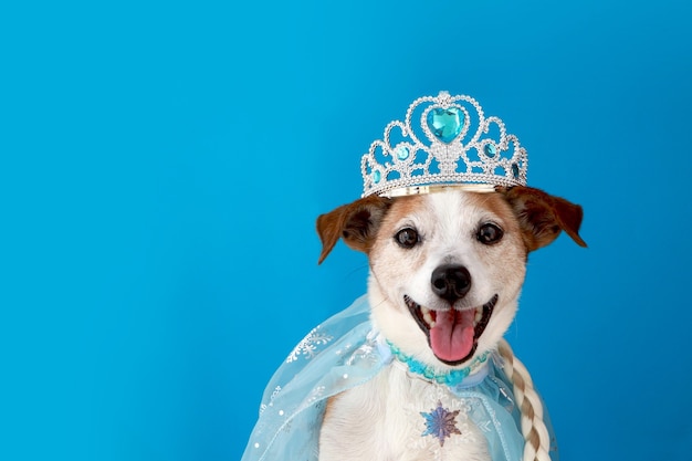 cane in costume da principessa con treccia e mantello cagnolino che indossa un tulle chiaro e ingioiellato