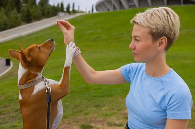 Cane intelligente addestrato che prende cibo dall'essere umano