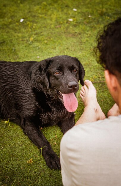 cane labrador retriever con il suo proprietario che gioca sulla spiaggia