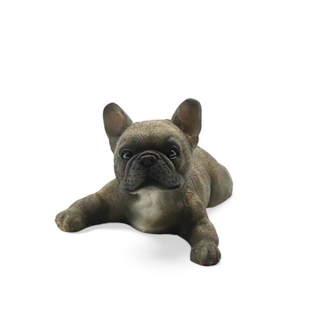 Cane pug in miniatura sdraiato isolato su bianco