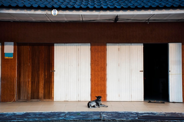 Cane randagio domestico che dorme rilassati la mattina davanti all'edificio d'epoca retrò antico e all'architettura casa classica casa del popolo tailandese al villaggio di Khlong Wan a Prachuap Khiri Khan Thailandia