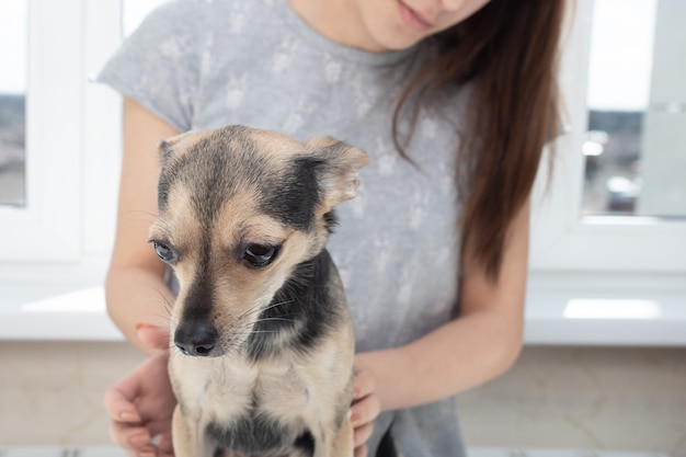 Cane triste alla reception del veterinario in clinica