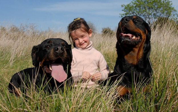 Cani e bambini pericolosi