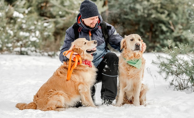 Cani Golden Retriever in inverno