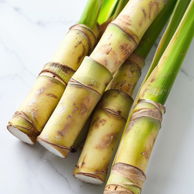 Canna da zucchero con foglia isolata su sfondo bianco