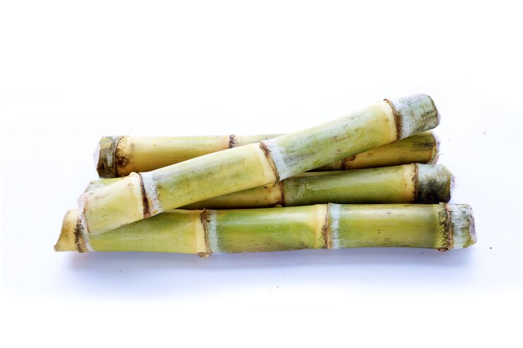 Foto canna da zucchero su sfondo bianco.