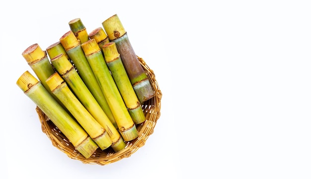 Canna da zucchero su sfondo bianco