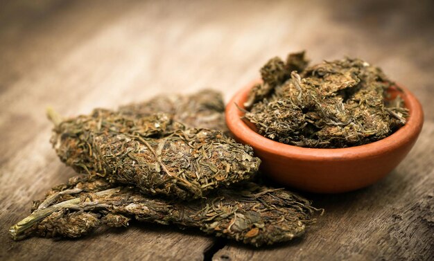 Cannabis medicinale usata come droga legale in molti paesi