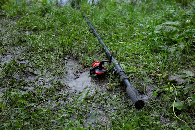 canne da pesca a terra