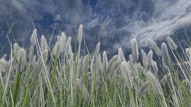 canne nel fiume, sembra bello con le onde dell'acqua del fiume. Rendering 3D