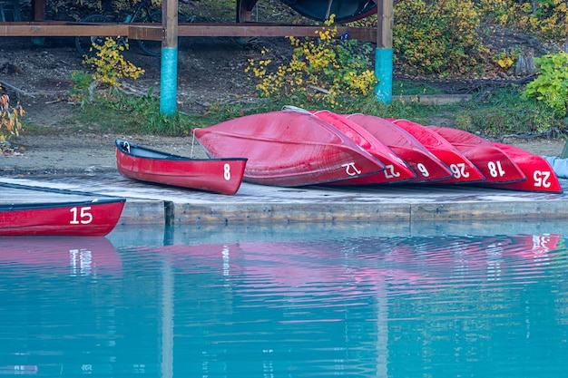 Canoe in riva al lago per il noleggio durante l'estate