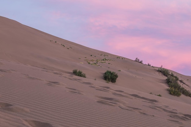 cantando dune di sabbia del deserto al tramonto Kazakistan