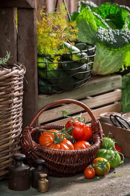 Cantina d'epoca piena di provviste per l'inverno