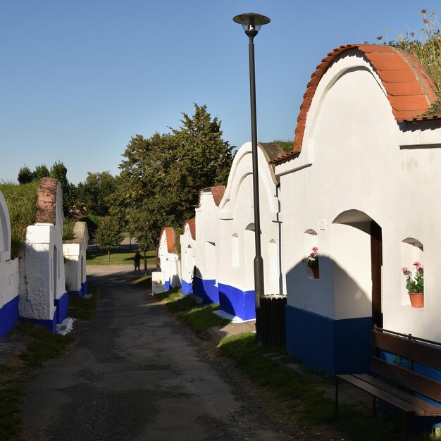 Cantina Regione vinicola Moravia meridionale Repubblica Ceca