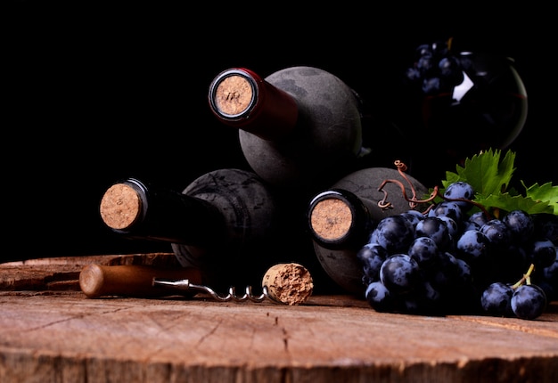 Cantina, vendemmia di quest'anno