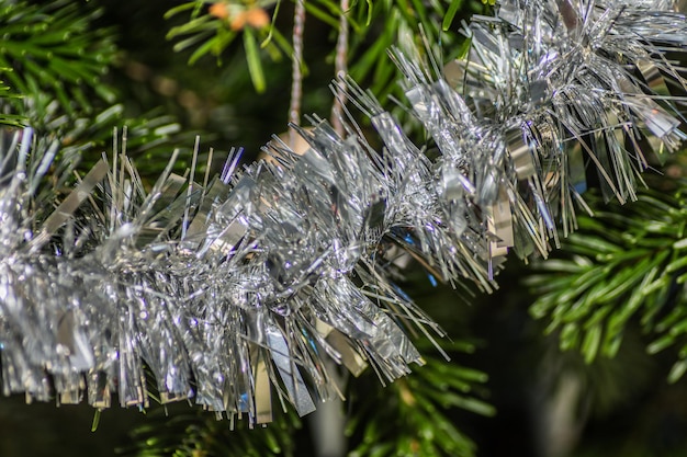 Canutiglia d'argento al dettaglio dell'albero di Natale