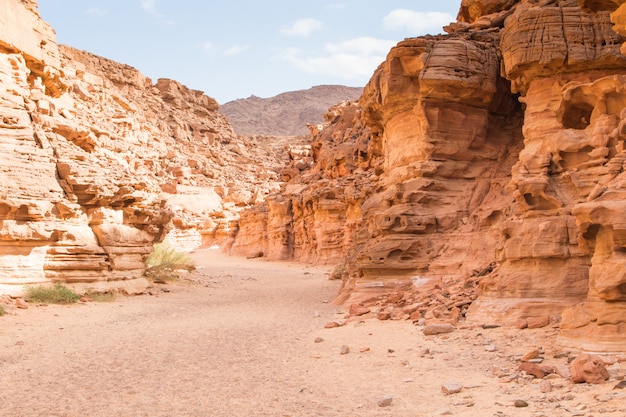 Canyon colorato con rocce rosse nel deserto