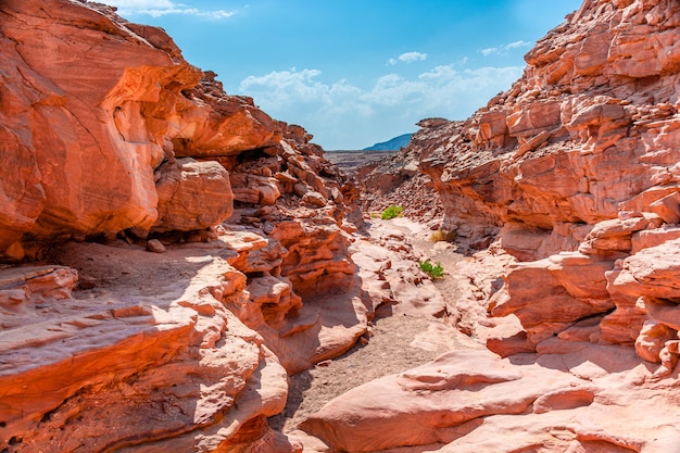 Canyon colorato di Salam nella penisola del Sinai, bellissime pietre calcaree curve.